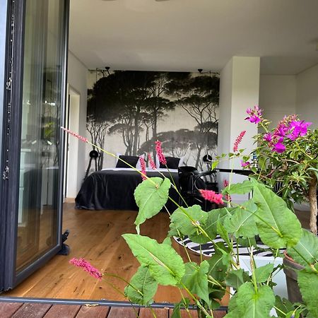 Webergarten Oestrich-Winkel Dış mekan fotoğraf