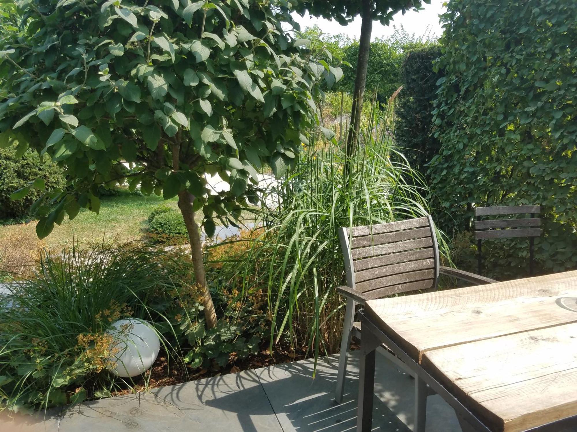 Webergarten Oestrich-Winkel Oda fotoğraf