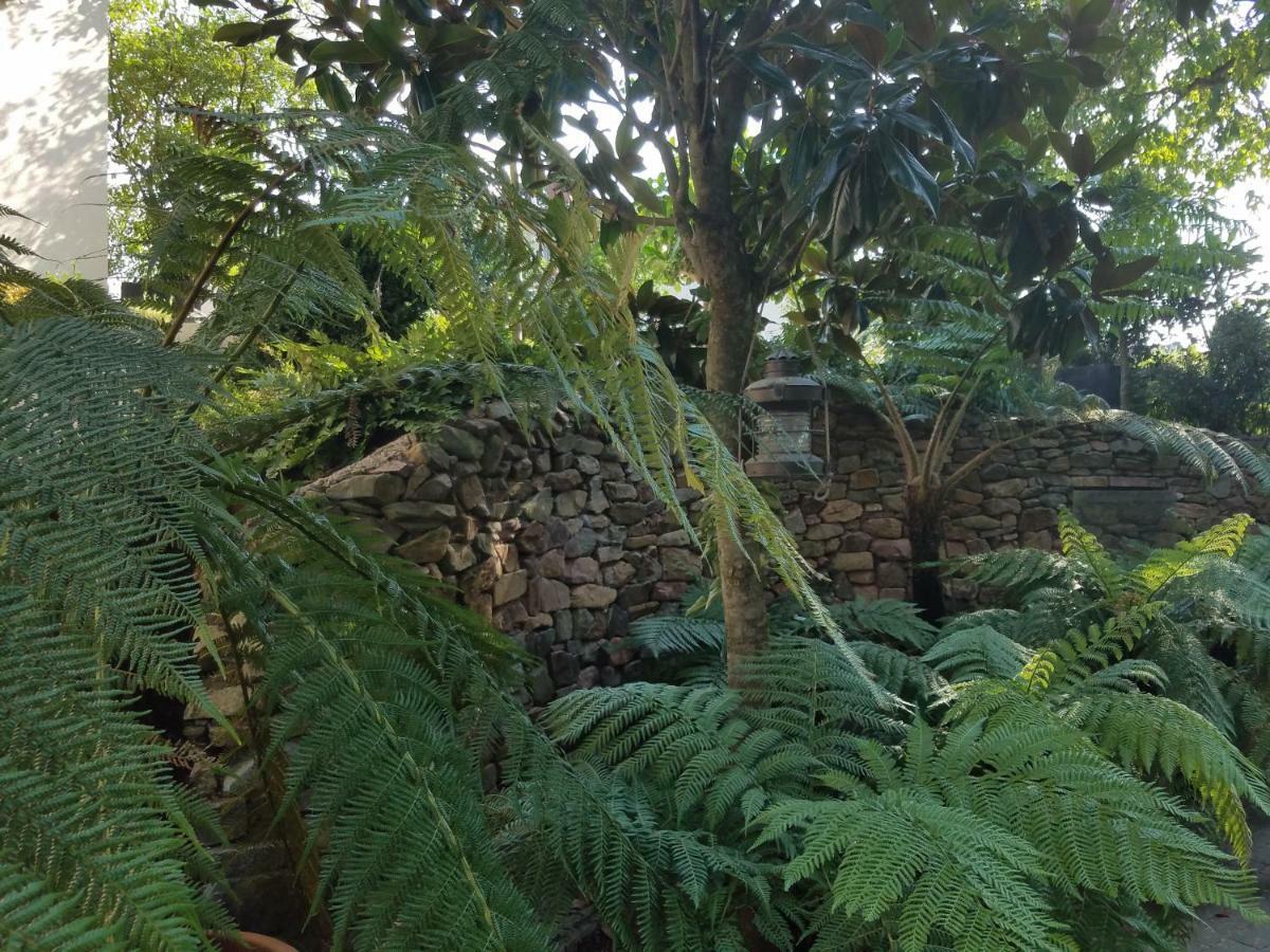 Webergarten Oestrich-Winkel Dış mekan fotoğraf
