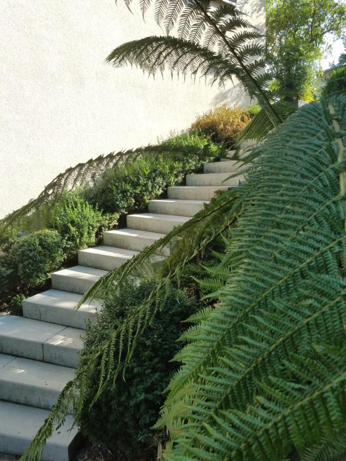 Webergarten Oestrich-Winkel Dış mekan fotoğraf