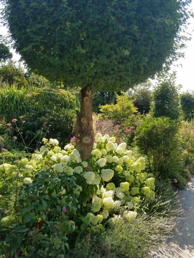 Webergarten Oestrich-Winkel Dış mekan fotoğraf
